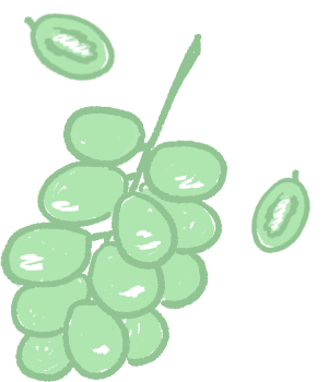 illust_fruit_muscat-3479370