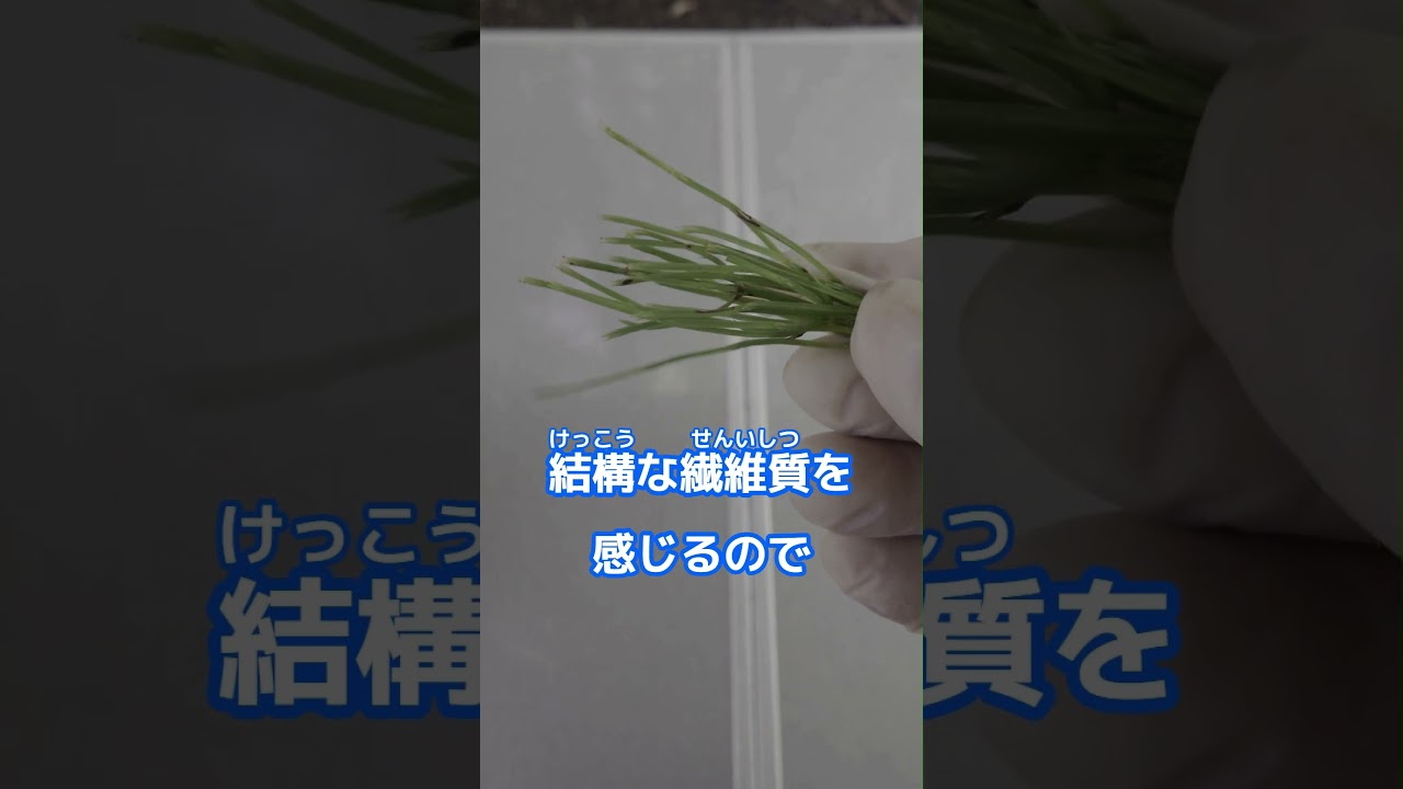 1760955698_maxresdefault-7099473-4465032-jpg