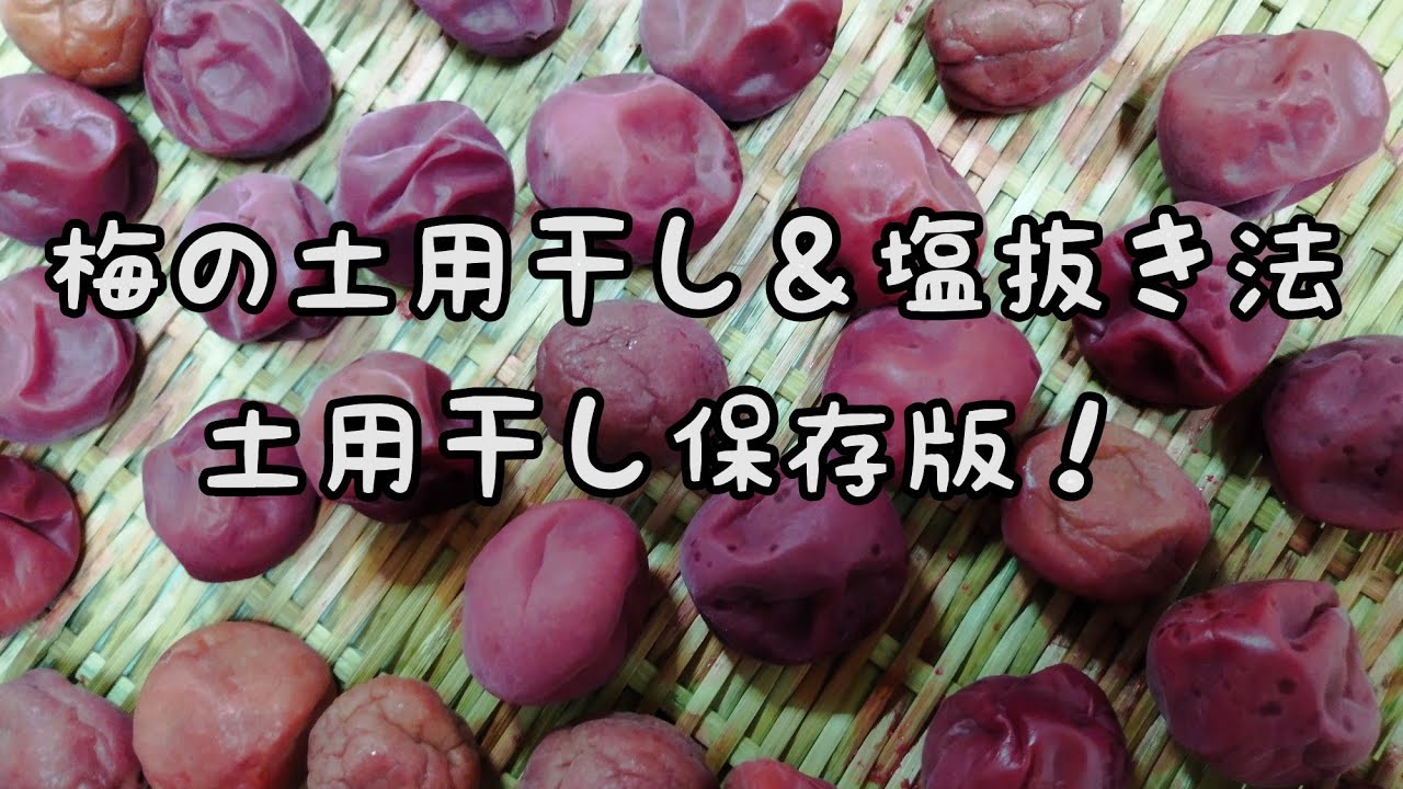 1761822469_maxresdefault-1761329-3916281-jpg