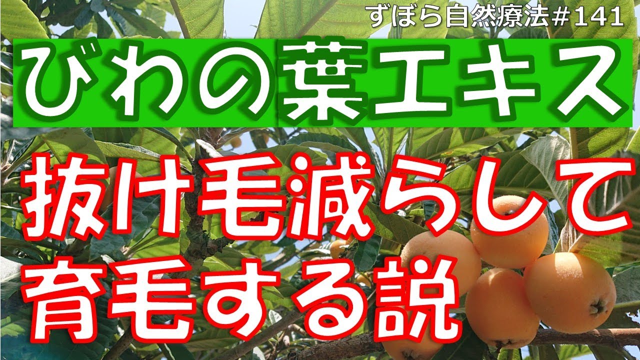 1762515469_maxresdefault-2179125-3453166-jpg