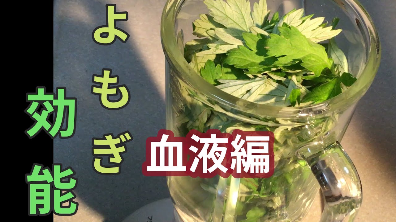 1762775254_maxresdefault-6535420-8974719-jpg