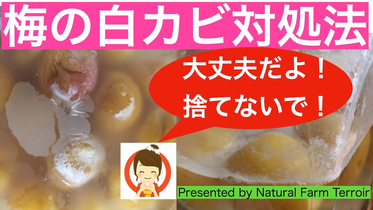 1762861883_maxresdefault-5205344-3979172-jpg