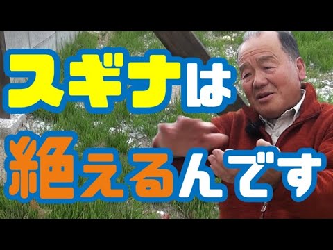 1763035127_hqdefault-8585107-6445630-jpg