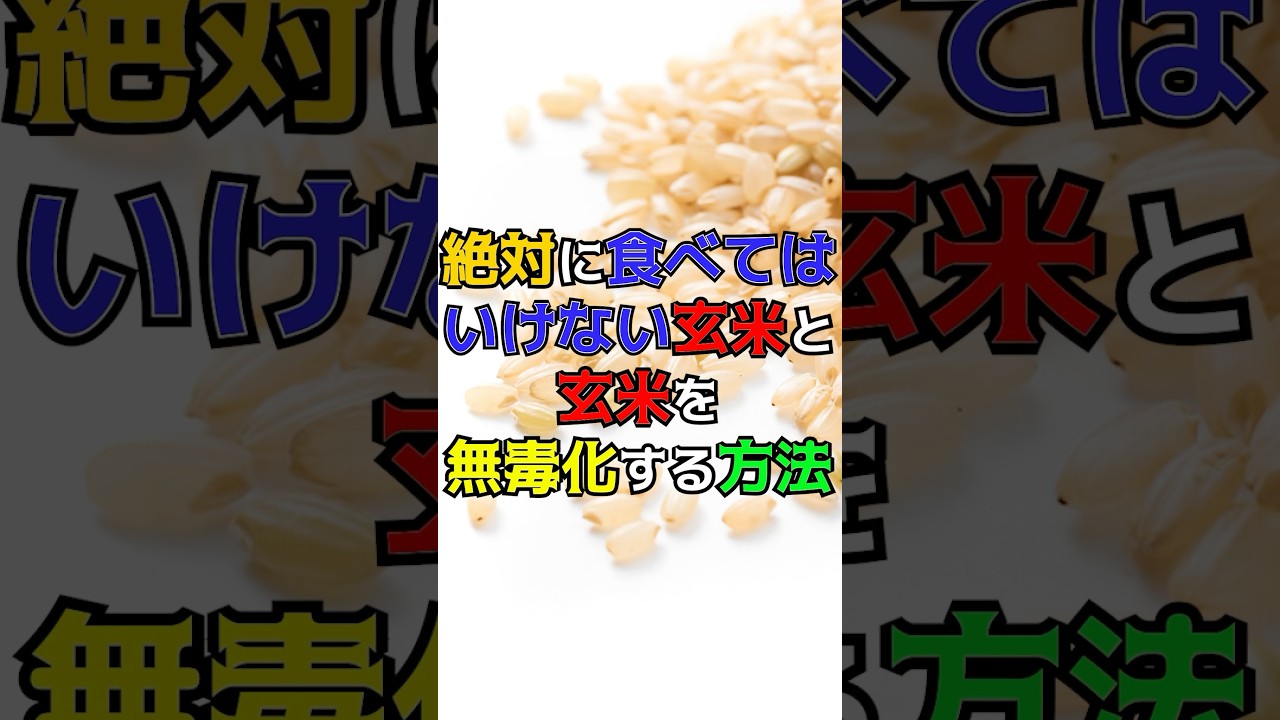 1763150794_maxresdefault-9514482-3828985-jpg