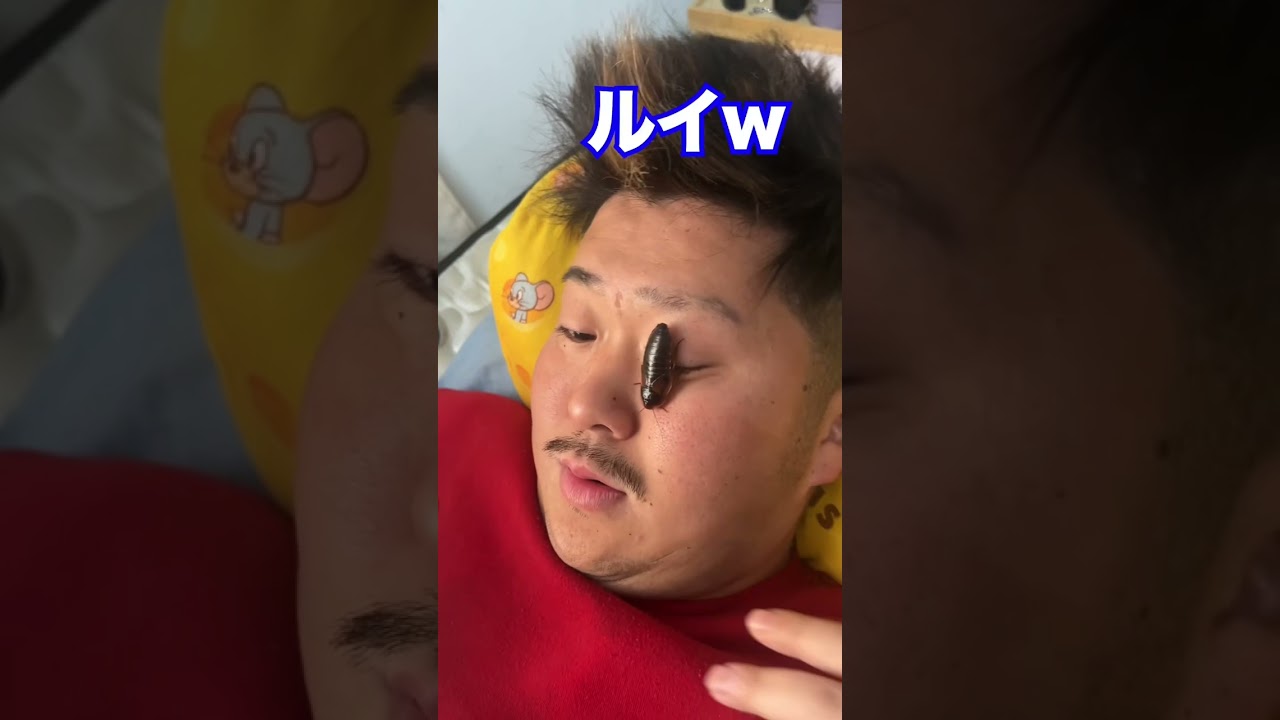 1763871423_maxresdefault-5283649-6182357-jpg