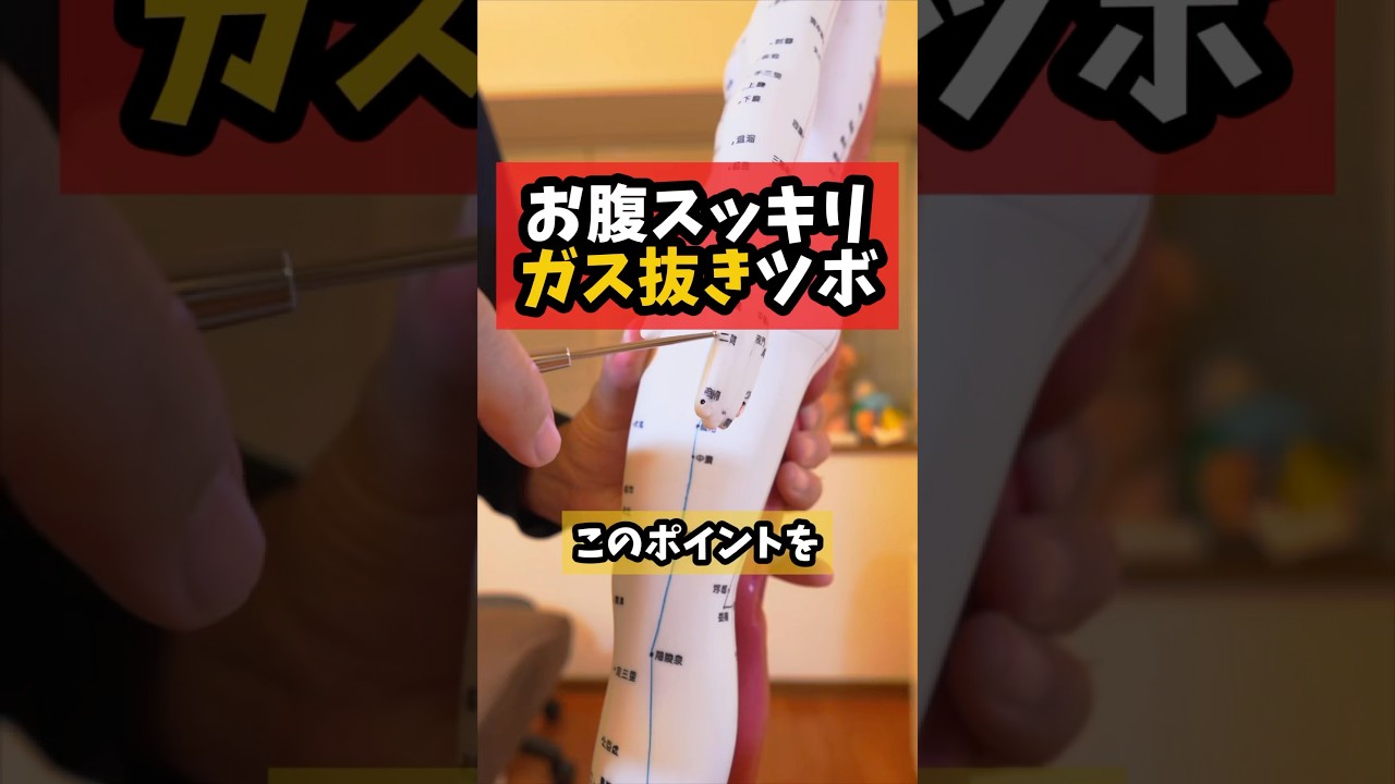 1763901566_maxresdefault-6053951-5971399-jpg