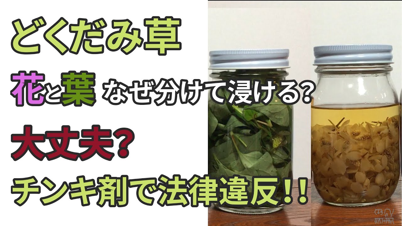 1764247970_maxresdefault-4259312-1028916-jpg