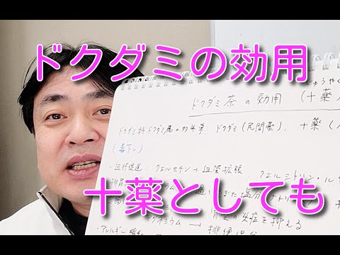 1764392330_hqdefault-5089403-2647847-jpg