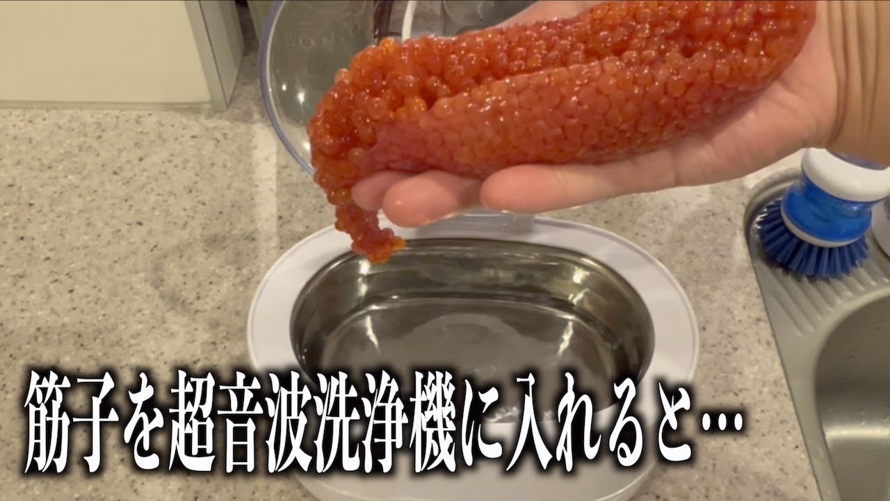 1764737547_maxresdefault-3822760-6608456-jpg