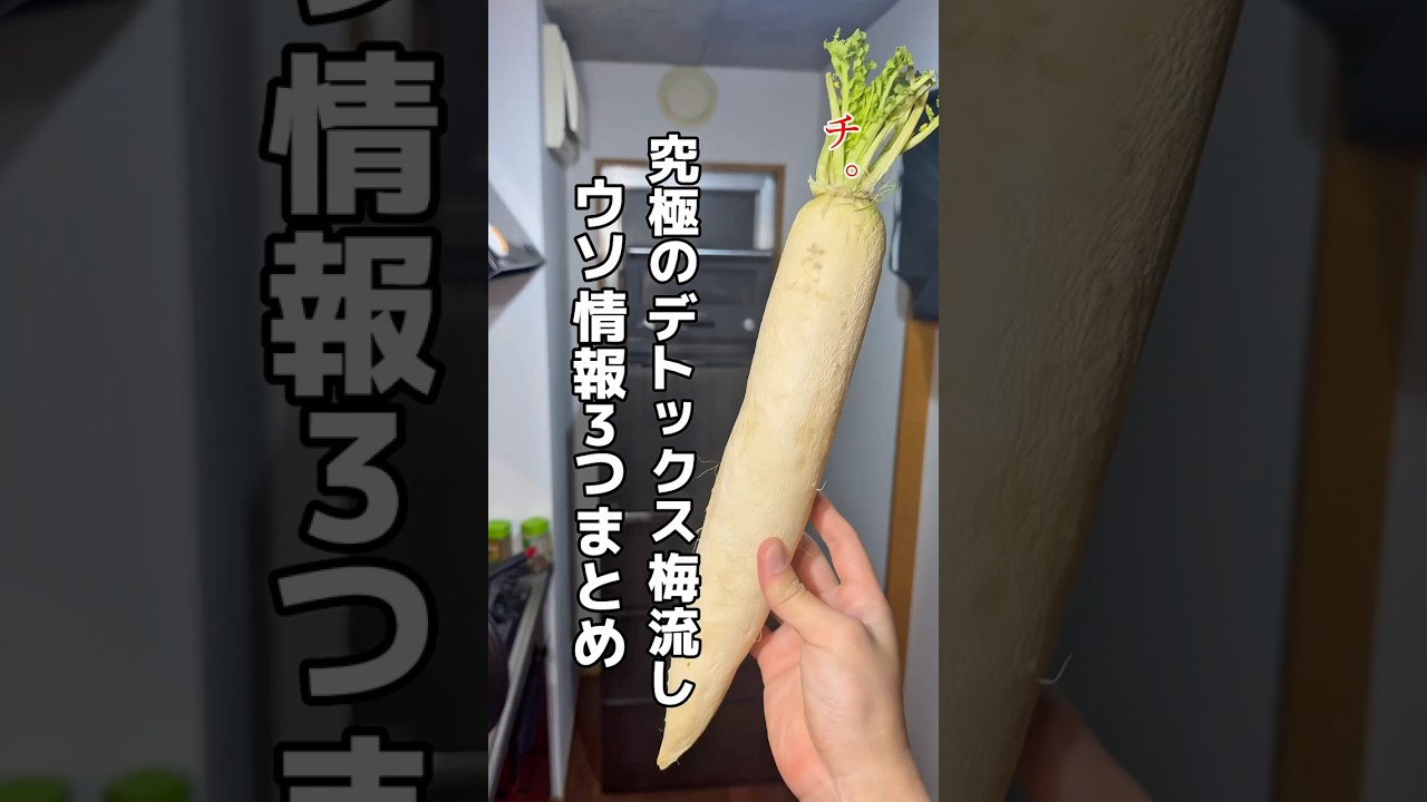 1766269310_maxresdefault-4304277-2939736-jpg