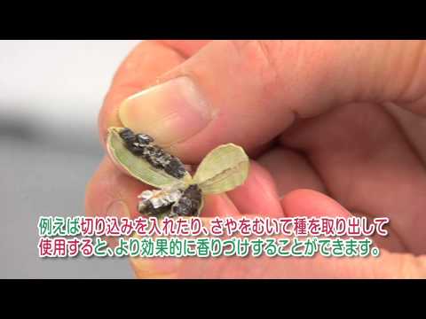 1767424219_hqdefault-7279389-2533742-jpg