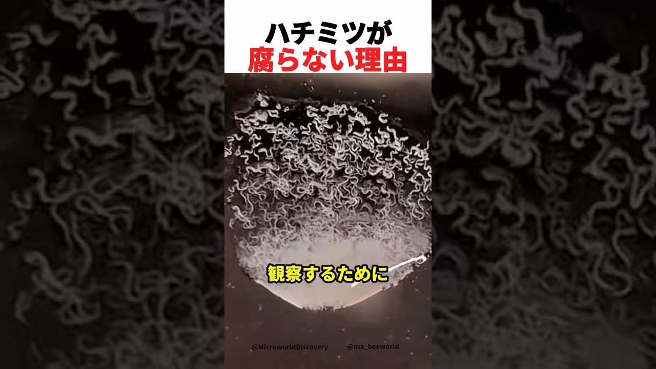 1767510813_maxresdefault-3870384-4536859-jpg