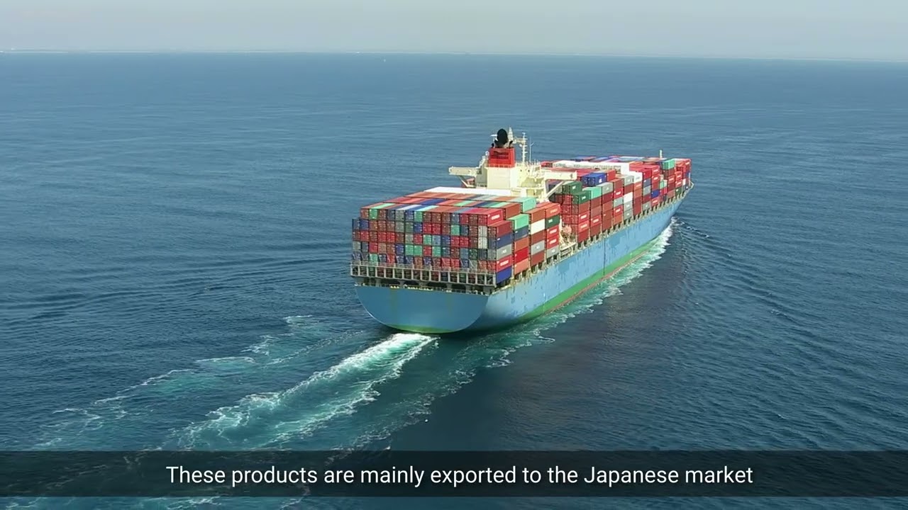 1767538348_maxresdefault-4812179-5382274-jpg