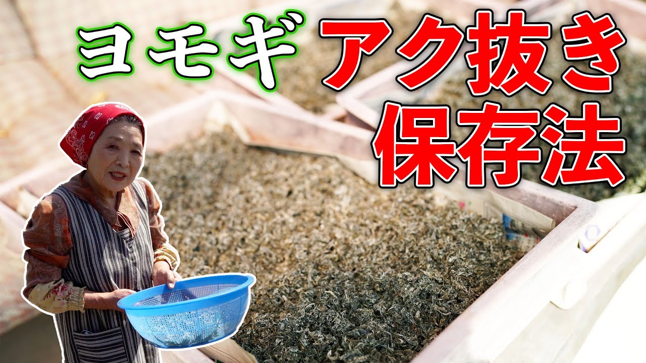 1767857229_maxresdefault-7310997-6572107-jpg