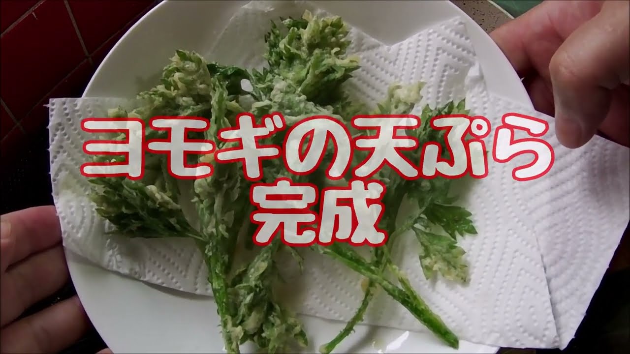 1768174742_maxresdefault-4817693-9803408-jpg