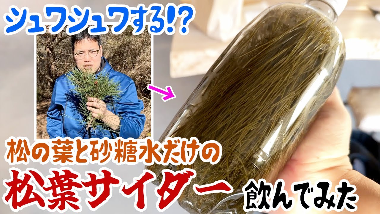 1768694272_maxresdefault-7558048-5286464-jpg