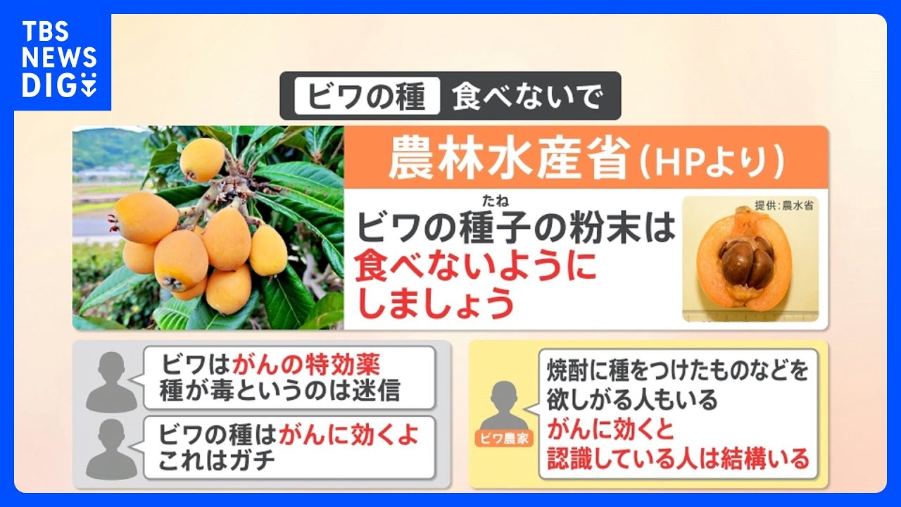 1769011645_maxresdefault-6249673-9951044-jpg