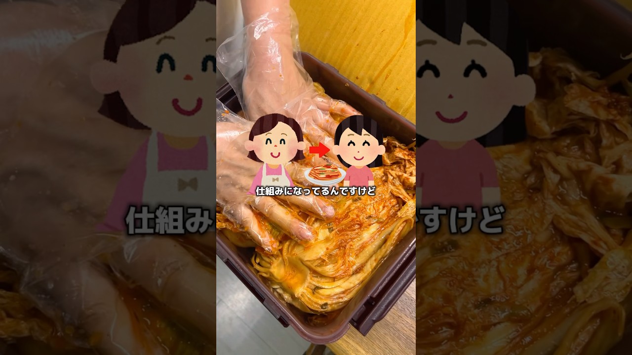 1769155067_maxresdefault-3340144-2420928-jpg