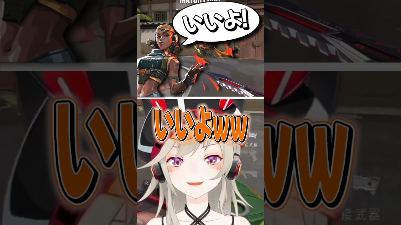 1769241652_maxresdefault-8564355-5425630-jpg